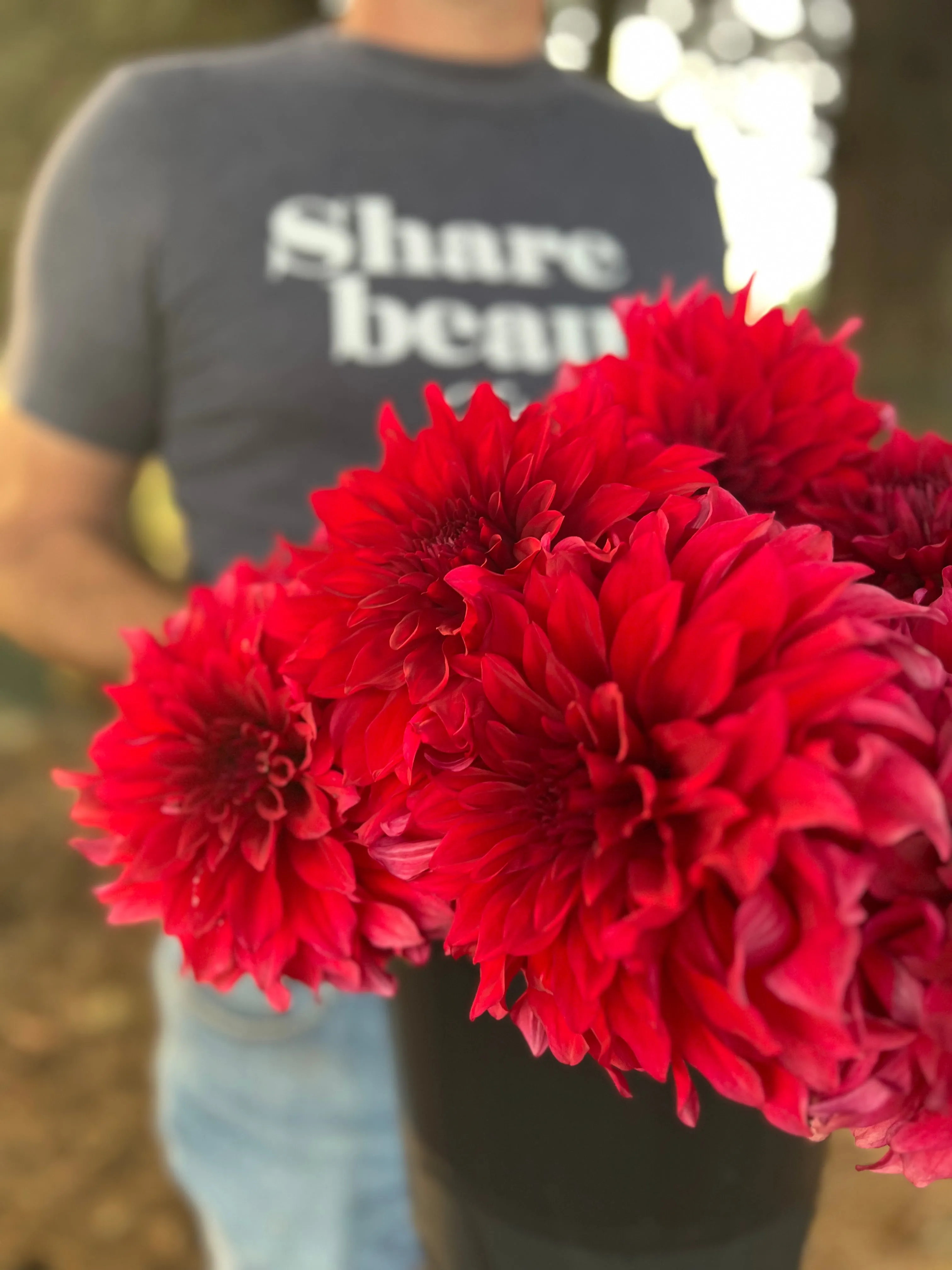 Bloomquist Jana Dahlia Tuber