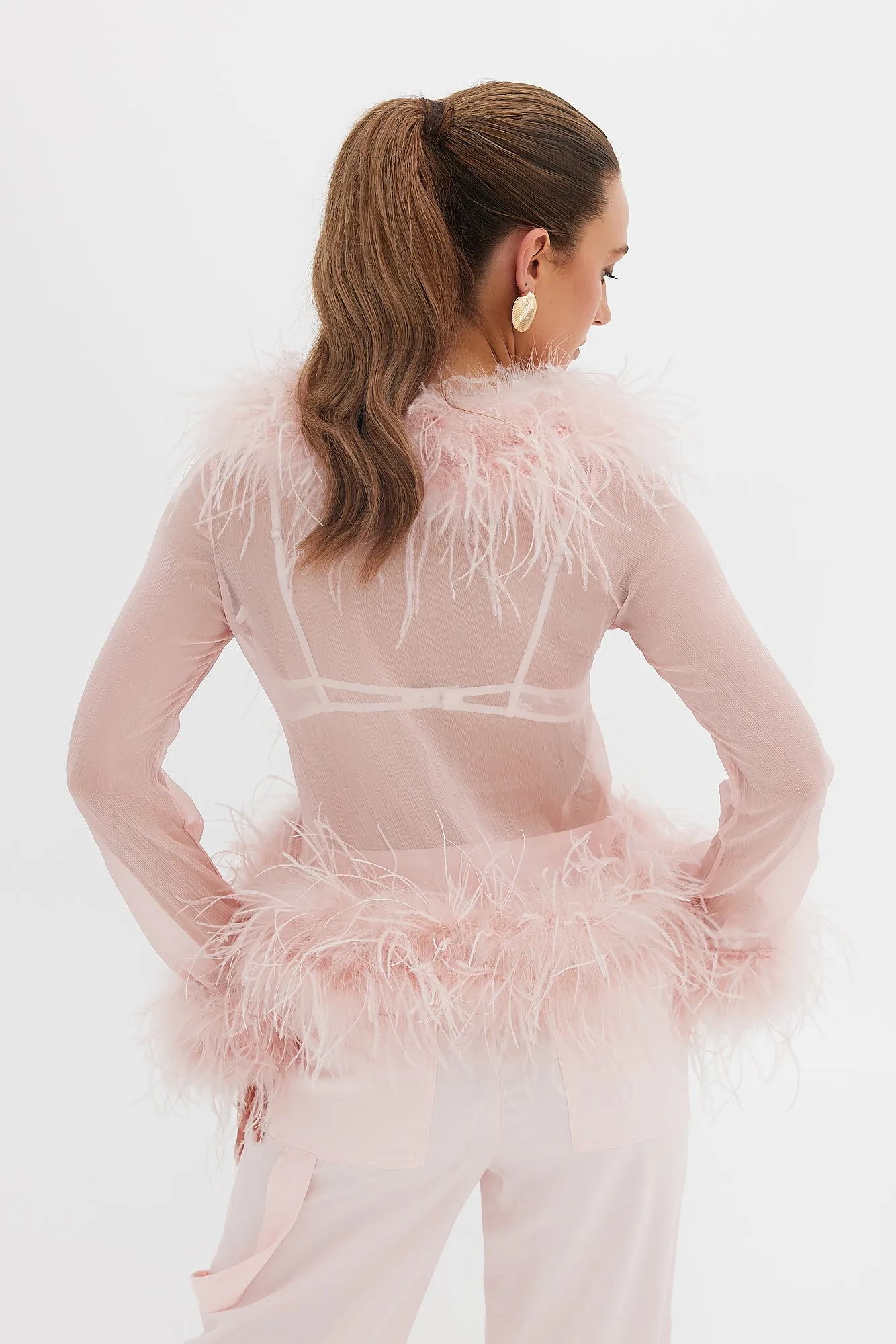 Blush Gigi Sheer Blouse with Feather Details