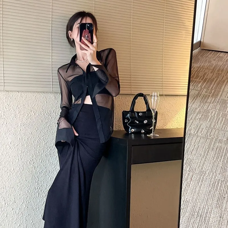 Elegant Sheer Chiffon Blouse with Classic Collar – Perfect for Any Occasion